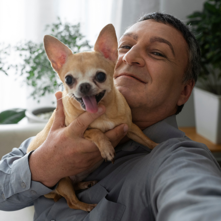 Certificado emocional perros