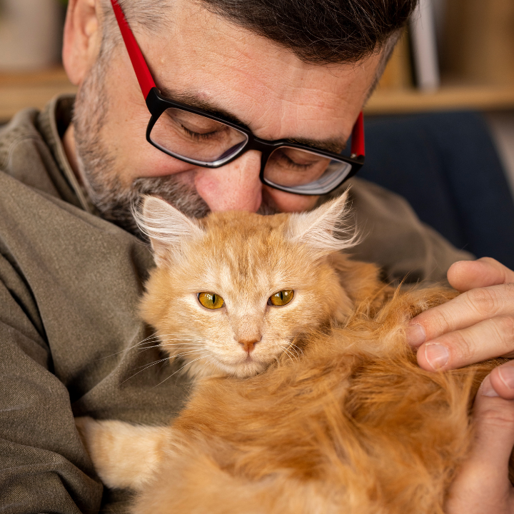 certificado apoyo emocional gatos