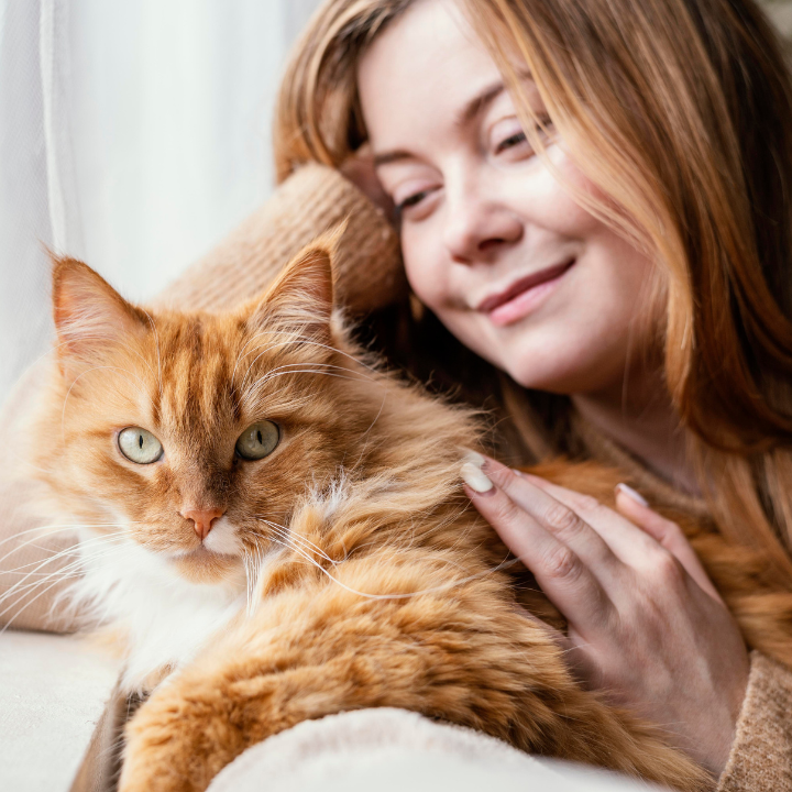 emocional gatos compañia
